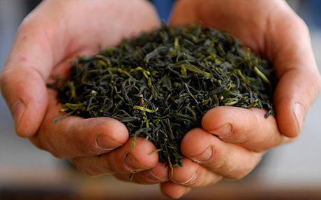 Azerbaijan imports more tea from Russia