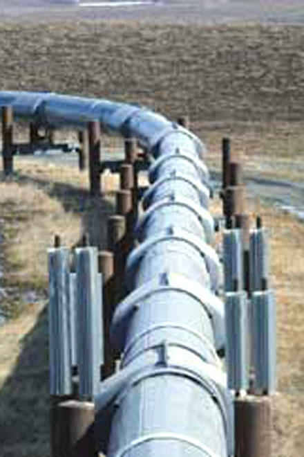 Ambassador: TAPI gas pipeline project to ensure economic development of Asia