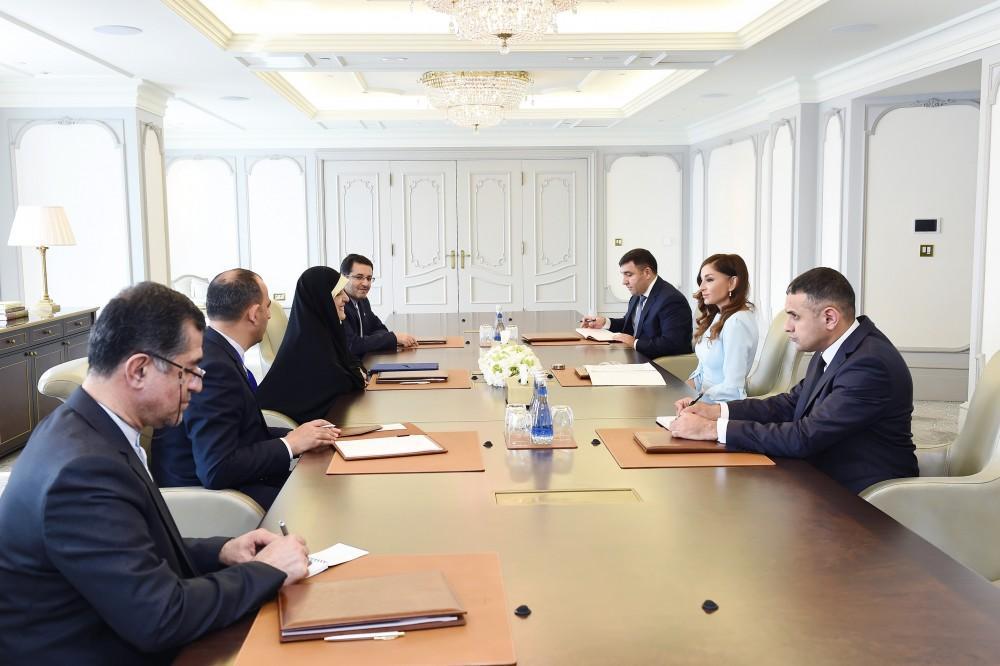 First VP Mehriban Aliyeva meets with Iranian VP for Women and Family Affairs