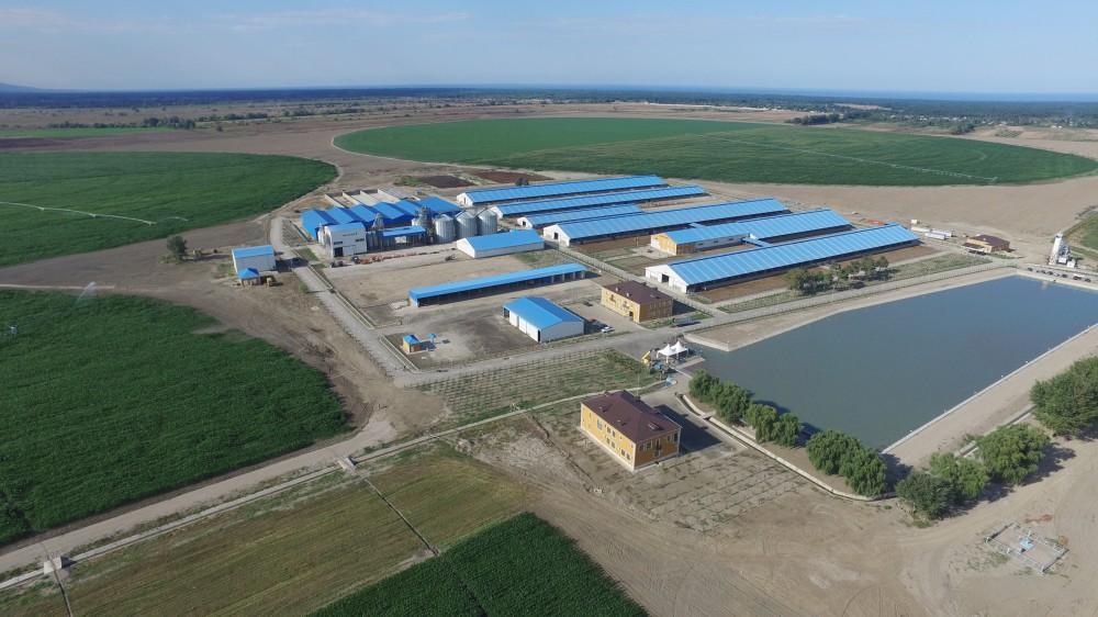 Uzbekistan to improve state agricultural management system