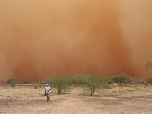 Iran To Mulch Desert Areas To Combat Dust Storms