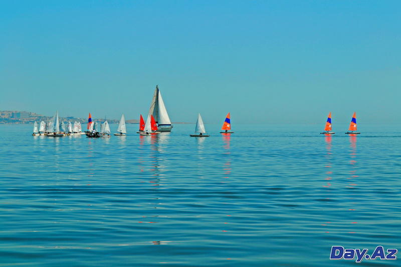 Slider Image 1