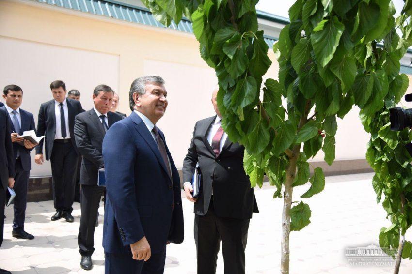 Uzbek scientist impresses Mirziyoyev with new high-yield mulberry cultivar