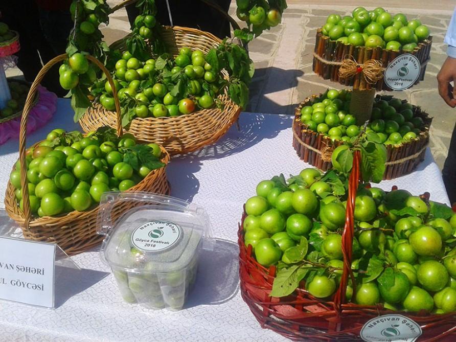Nakhchivan hosts cherry plum festival [PHOTO]