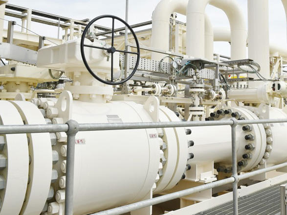 German energy ministry talks on prospects for buying gas via Southern Gas Corridor