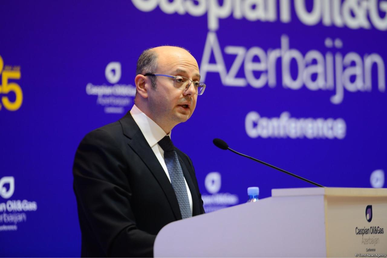 Southern Gas Corridor serves Europe’s strategic interests - minister [UPDATE]