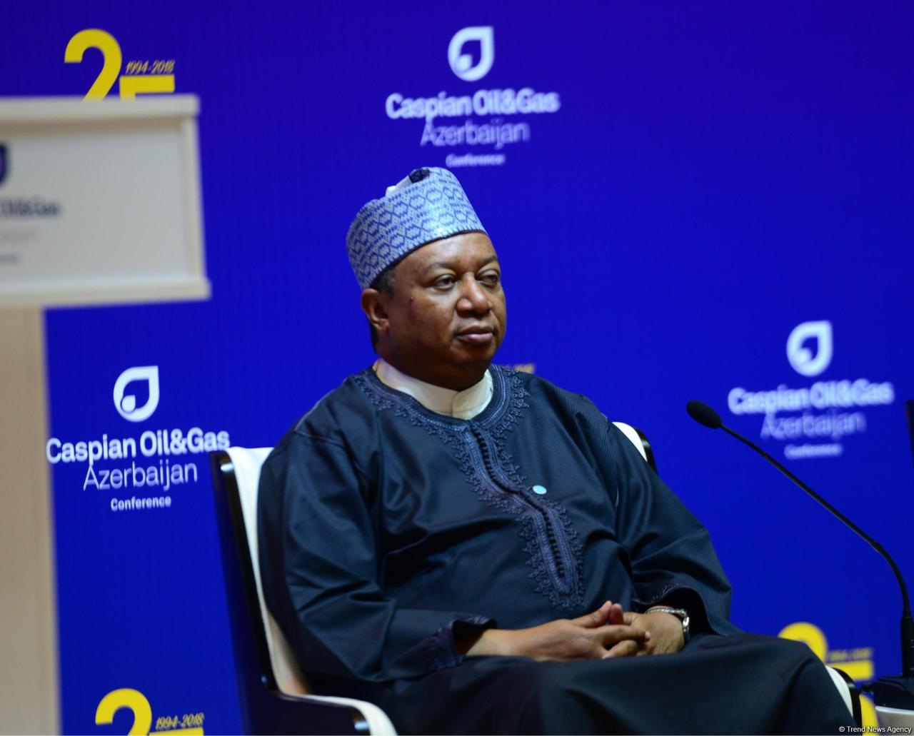 Mohammed Barkindo: OPEC expects to continue close co-op with Azerbaijan [UPDATE]