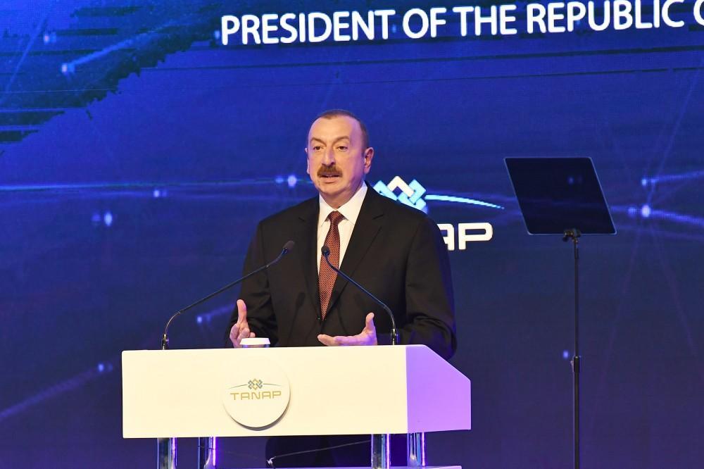 President Aliyev: TANAP is another victory of Turkey, Azerbaijan