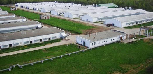 Azerbaijan’s Agjabadi agricultural park may be commissioned in late 2018