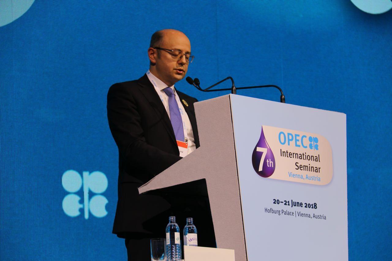 Difficulties in meeting global oil demand may arise in future - Azerbaijani minister [PHOTO]