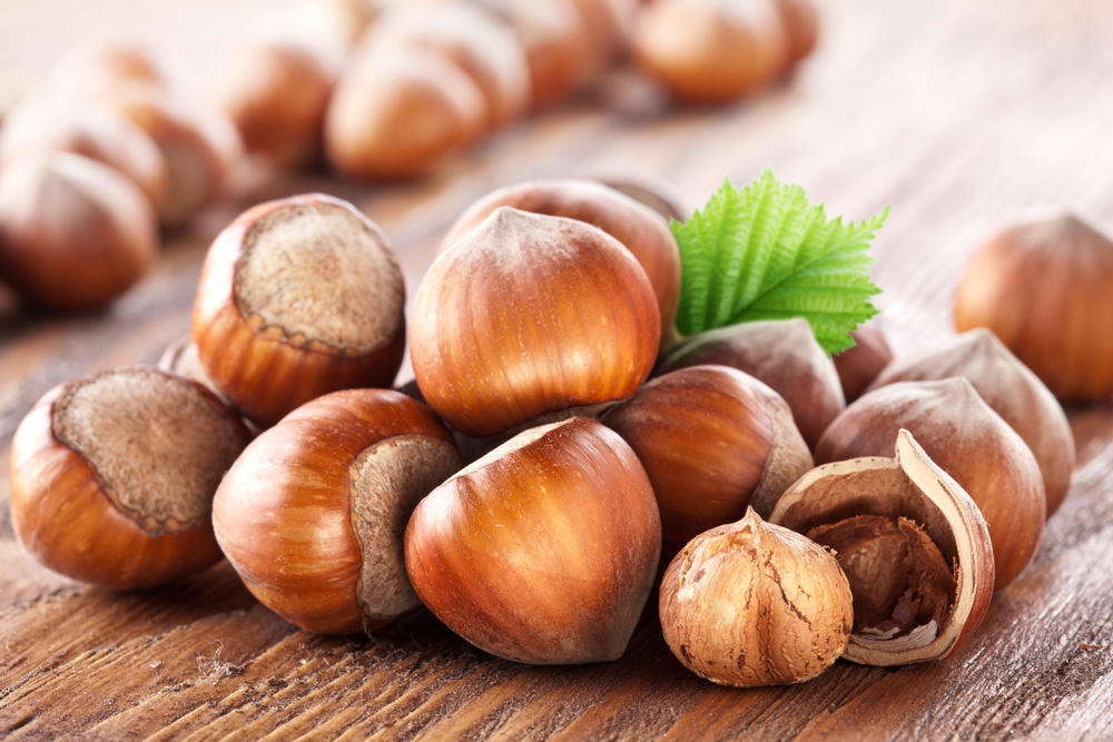 Local companies to export hazelnuts to Switzerland