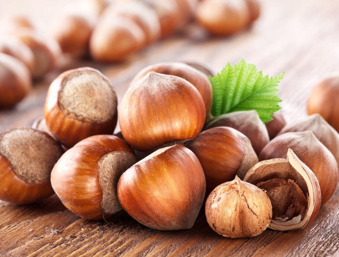 Country to increase hazelnut exports to Europe