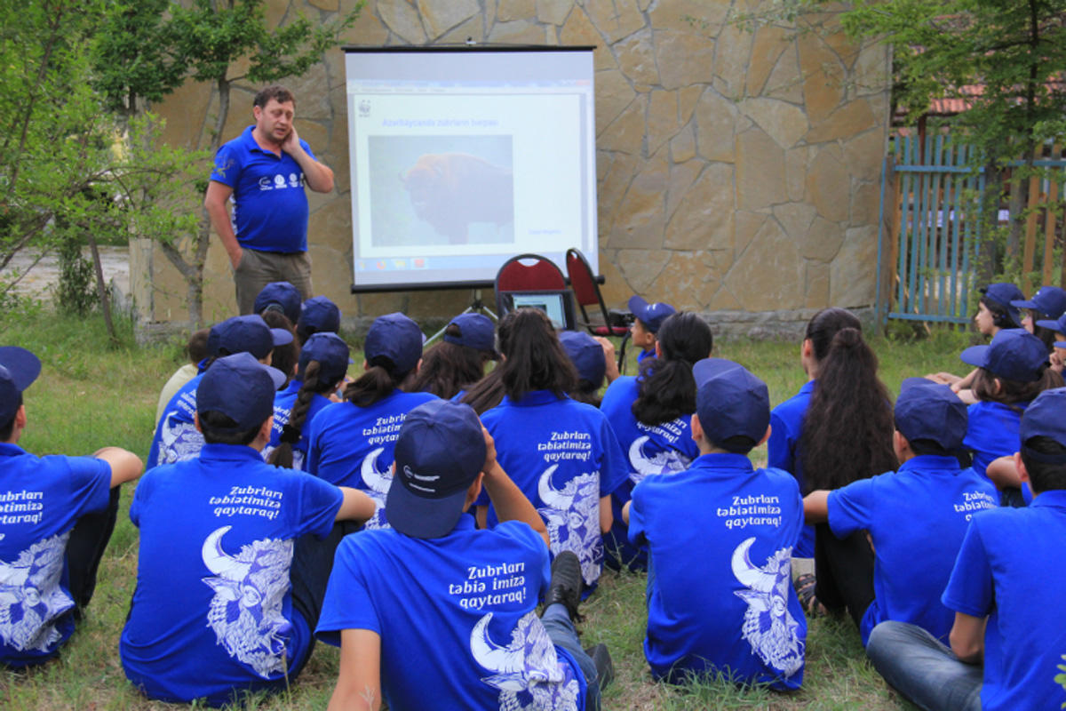 "Return of bison to our nature!" camp completed in Azerbaijan [PHOTO]