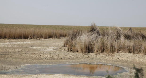 Iran, Turkey, Iraq should hold talks over drying Hour al-Azim wetland – MP