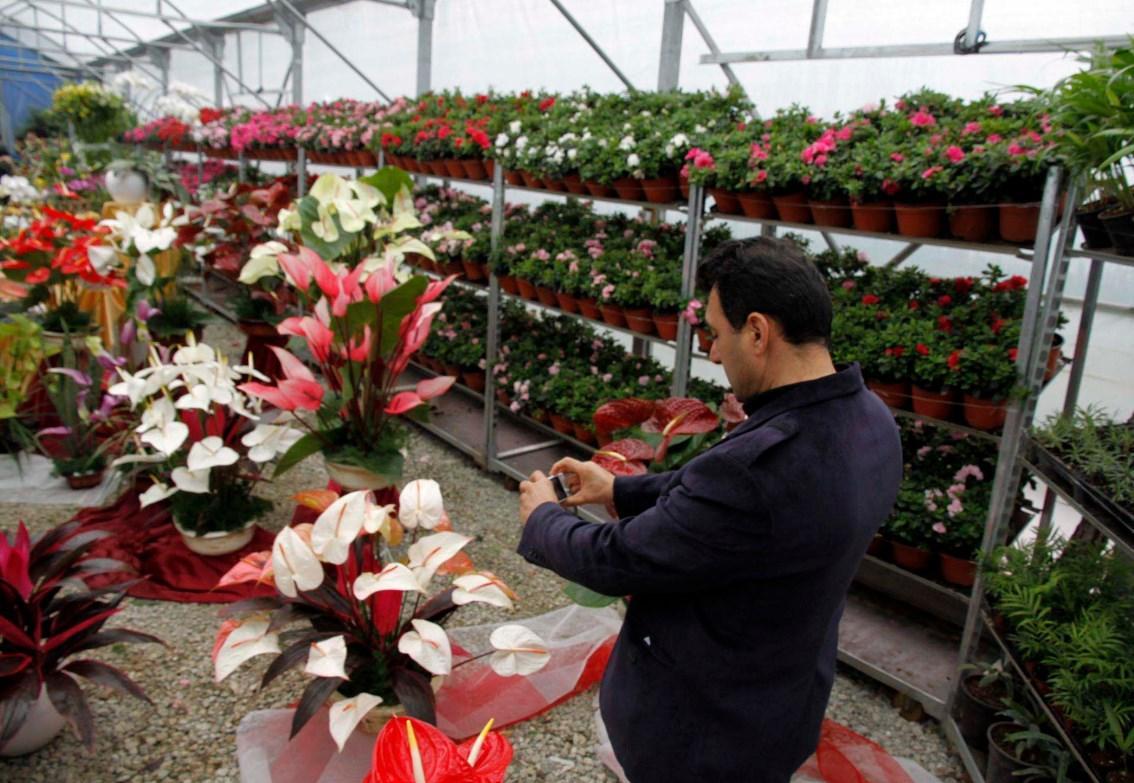 Iran’s new flower export terminal nearly completed - official