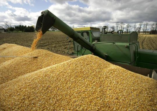 China to consider expansion of grain supplies from Russia
