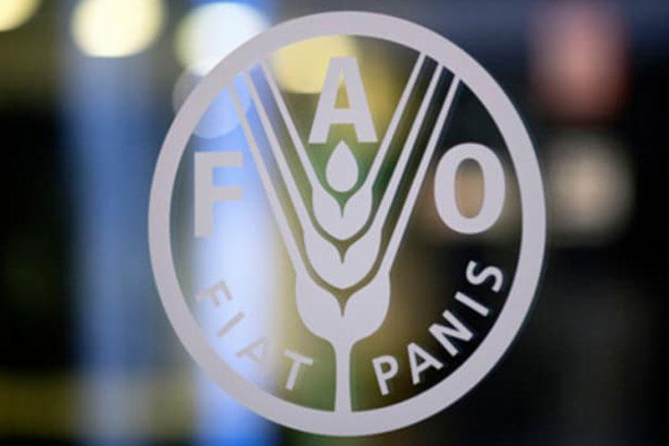 FAO: Azerbaijan's most sensitive sectors - agriculture, water resources & forestry - AzerNews