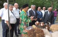 &quot;From Regions to Regions&quot; art festival reaches Goygol <span class="color_red">[PHOTO]</span>