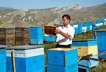 Azerbaijan Beekeepers Association talks beekeeping project in Jojug Marjanli