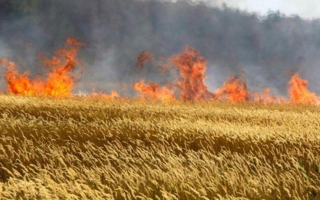 Azerbaijani farmers must understand damage of straw burning after harvest: expert