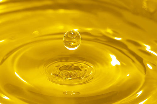 Kazakhstan begins to export safflower oil to Japan