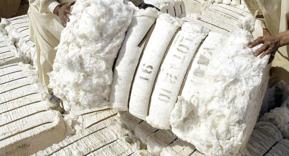 Uzbekistan intends to stop export of cotton fiber by 2025