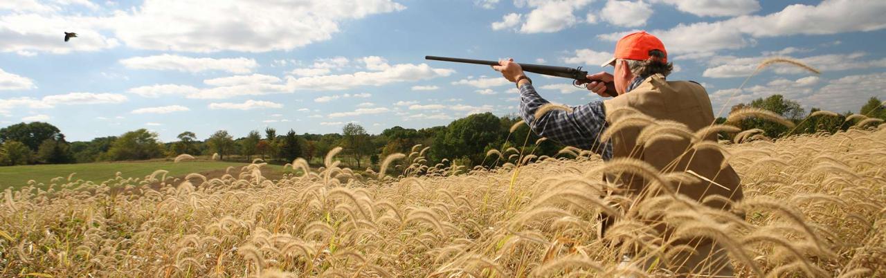 Hunting farms may be given to private companies in Azerbaijan