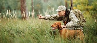 Ecology Ministry to organize hunting for foreigners in Azerbaijan