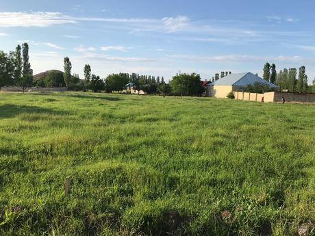 Young farmers receiving lands in Azerbaijani regions