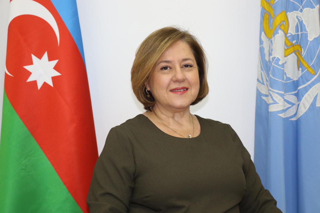 New WHO rep in Azerbaijan appointed