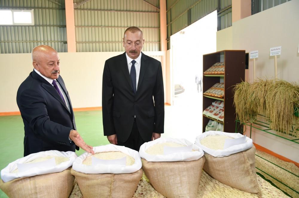 Azerbaijani president attends opening of Masalli-Nematlari LLC rice plant [PHOTO]