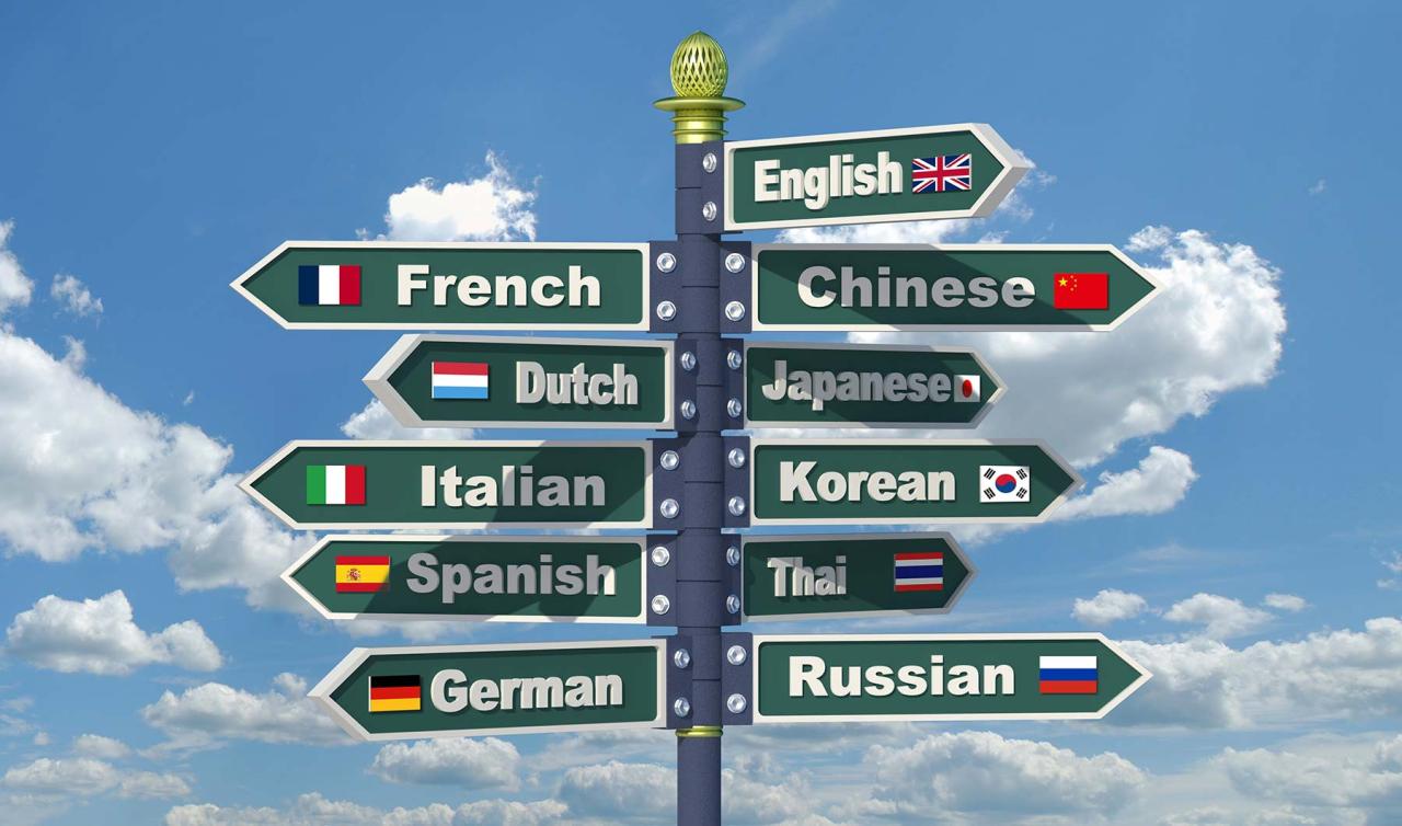 Which foreign languages attractive for azerbaijani learner 