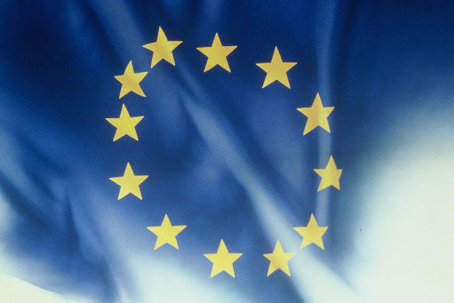 Gov't of Azerbaijan makes efforts to provide services on "single window" principle - EU