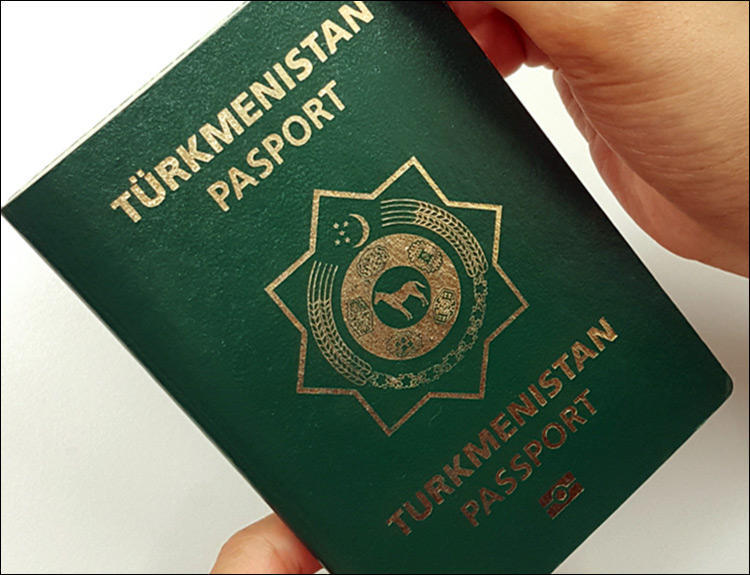 Some 735 people receive Turkmen citizenship