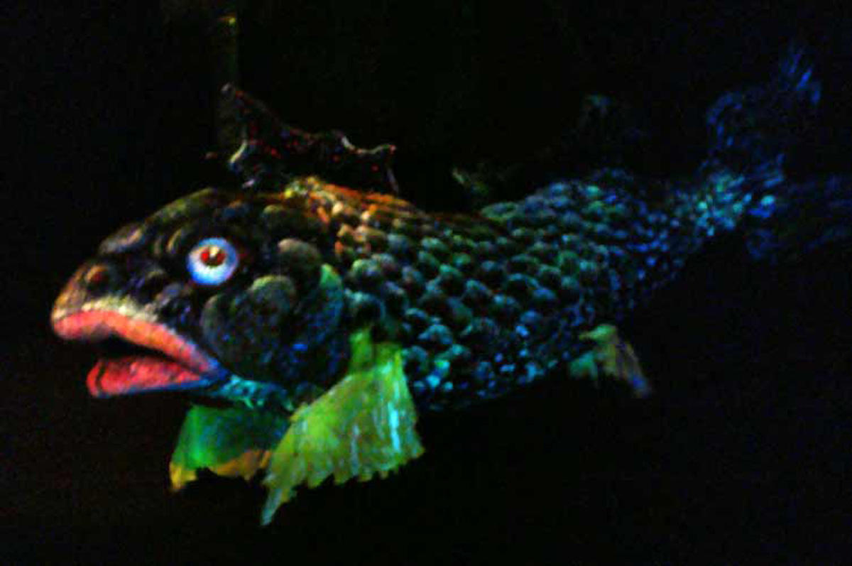 Slider Image 1