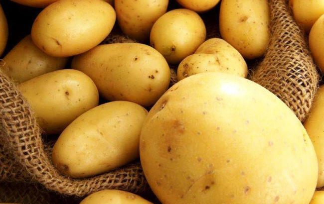 Russian "Agrofirma KRiMM" sends first batch of potato exports to Azerbaijan