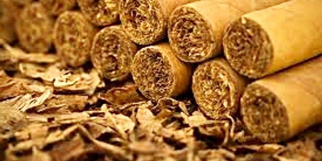 Azerbaijan's big tobacco producer announces production plans