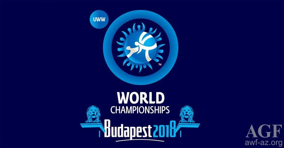 Azerbaijan's rivals at World Freestyle Wrestling Championship determined