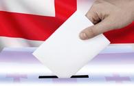 OSCE PA election observers in Tbilisi ahead of presidential election