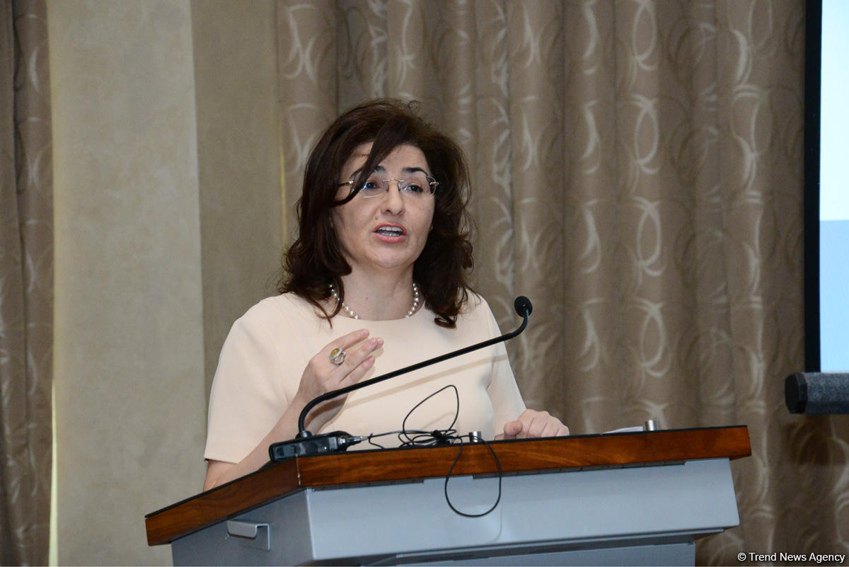 Deputy minister: Sustainable economic, social development - priority for Azerbaijan