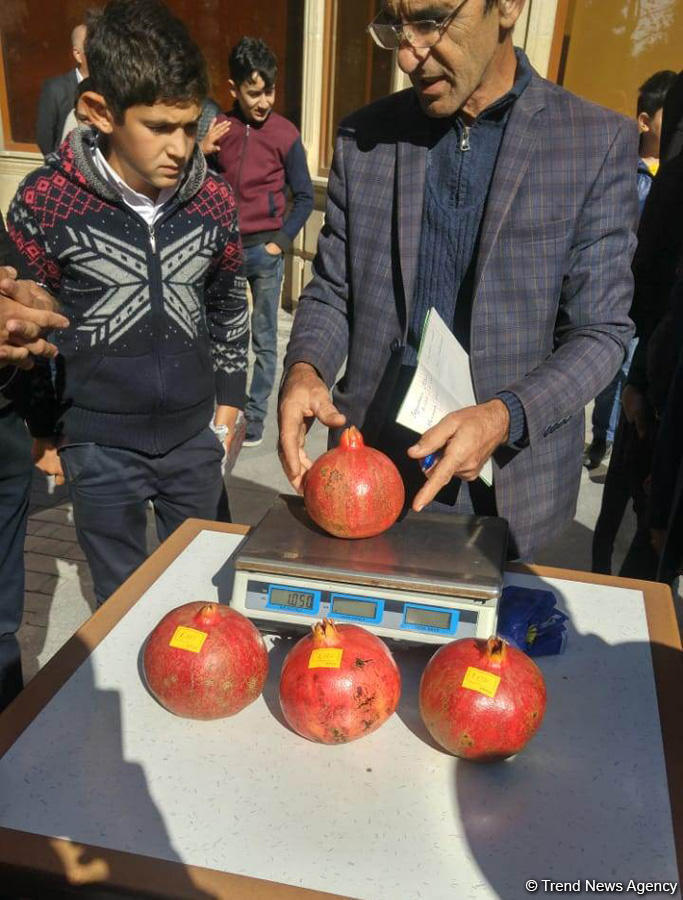 Colorful Pomegranate Festival held in Goychay [PHOTO] - Gallery Image