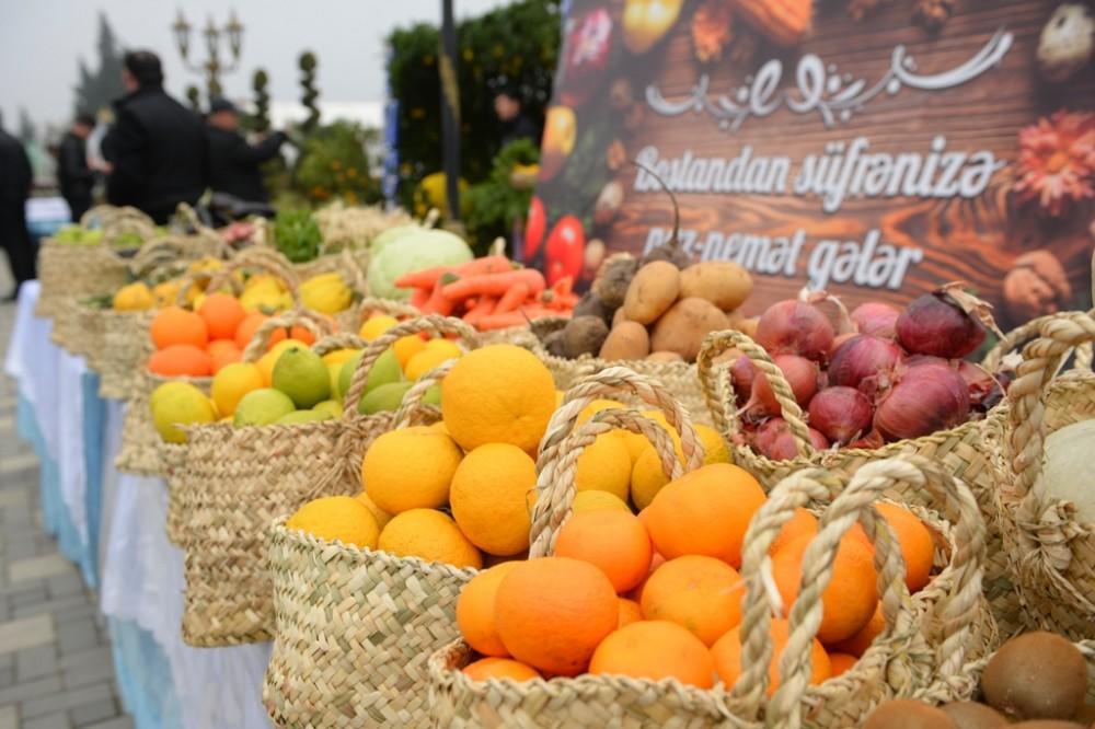 Tea, brown rice and citrus fruits fest comes to Lankaran