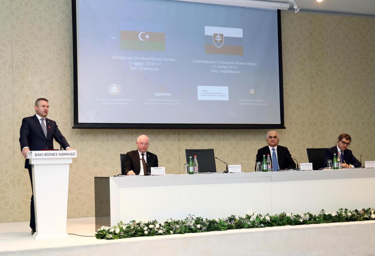 Azerbaijani-Slovak business forum held in capital