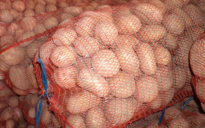 Azerbaijan grows national varieties of potatoes in Tovuz
