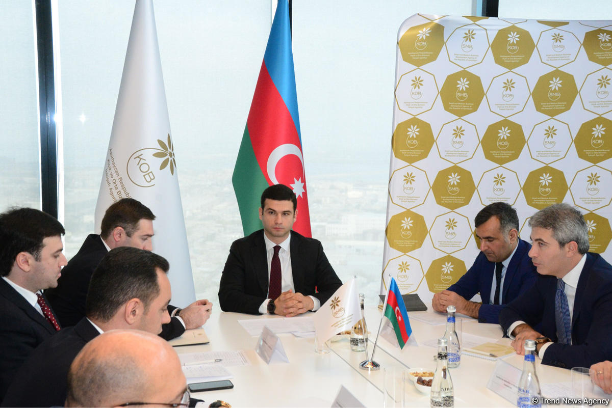 Public Council created under Agency for Development of SMEs in Azerbaijan [PHOTO]