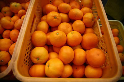 Georgia exports 8,595 tonnes of mandarins this year