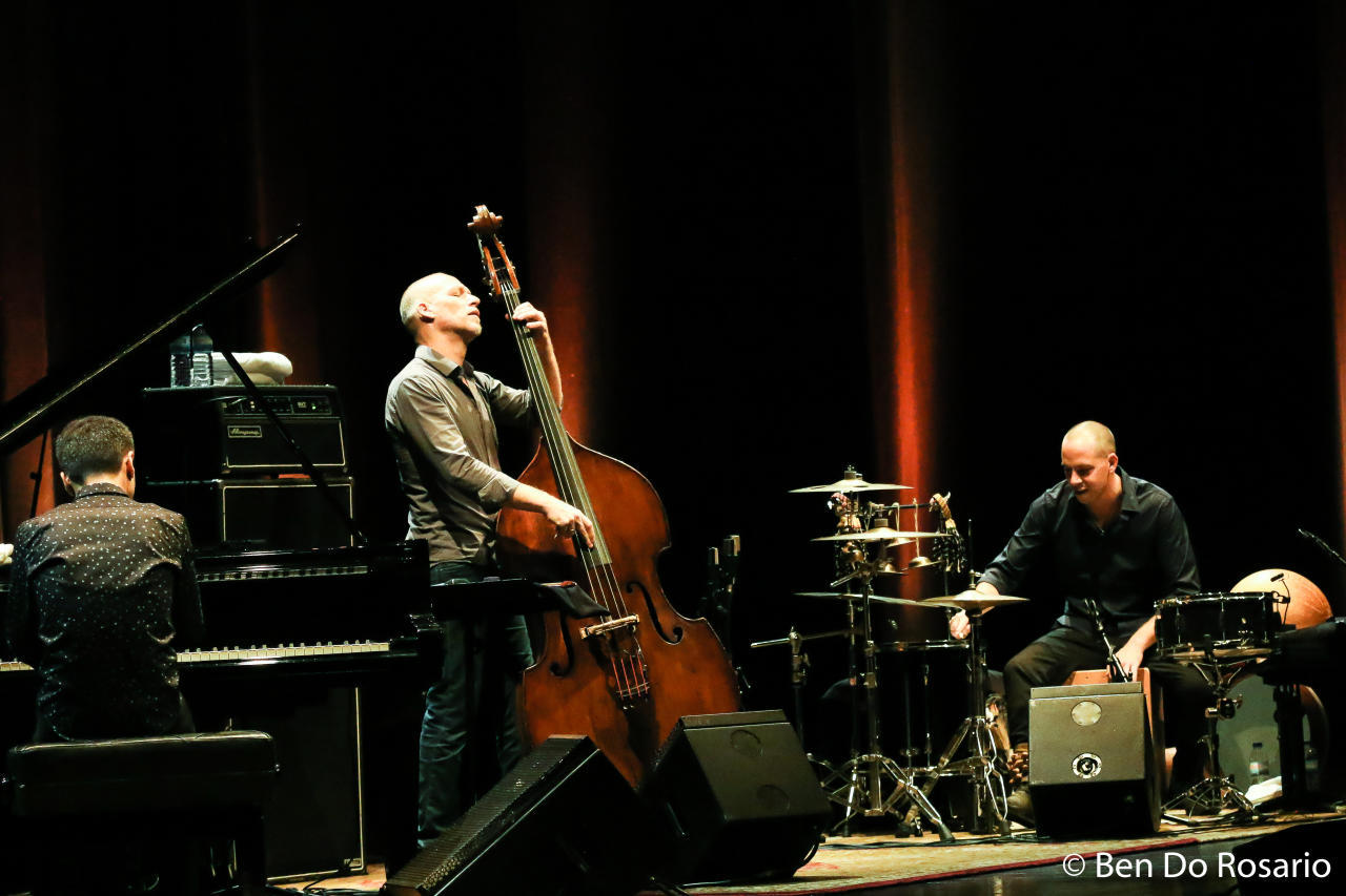 Avishai Cohen trio stuns audiences around the world [PHOTO]