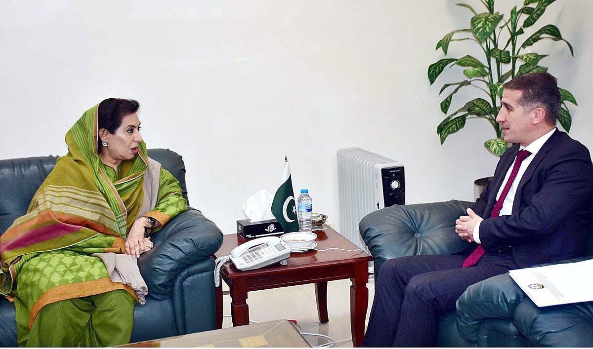 Mutual support of Azerbaijan, Pakistan in international organizations highlighted