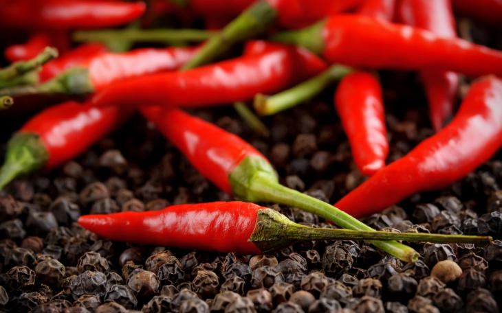 Indian company eyes pepper growing project in Uzbekistan