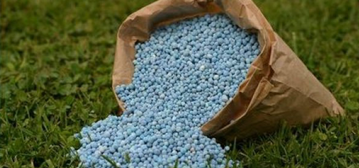 Turkmenistan sends big cargo of mineral fertilizers to Europe